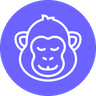 CopyMonkey